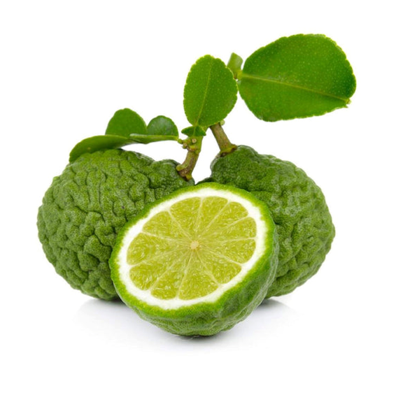 DRHC-Xa phong BERGAMOT.png